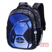 Рюкзак  детский Winner /SkyName R4-416